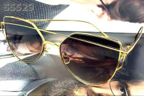 Dior Sunglasses AAA (1151)