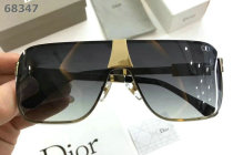 Dior Sunglasses AAA (1665)