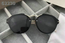 Dior Sunglasses AAA (1375)