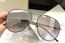 Dior Sunglasses AAA (1491)