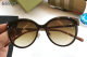 Burberry Sunglasses AAA (218)