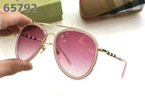 Burberry Sunglasses AAA (192)