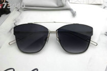 Dior Sunglasses AAA (162)
