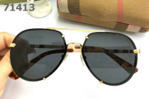 Burberry Sunglasses AAA (321)