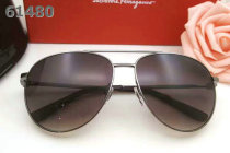 Ferragamo Sunglasses AAA (5)