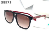 LACOSTE Sunglasses AAA (66)