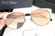 Dior Sunglasses AAA (602)