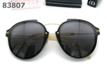 Dior Sunglasses AAA (1063)