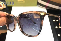 Burberry Sunglasses AAA (301)