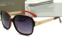Dior Sunglasses AAA (496)