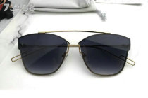 Dior Sunglasses AAA (160)