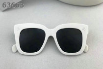 Celine Sunglasses AAA (145)