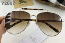 Burberry Sunglasses AAA (354)