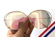 Dior Sunglasses AAA (1858)