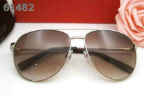 Ferragamo Sunglasses AAA (7)