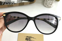 Burberry Sunglasses AAA (345)