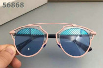 Dior Sunglasses AAA (1161)