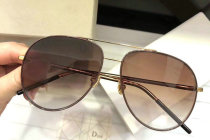 Dior Sunglasses AAA (1495)