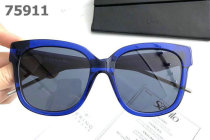 Dior Sunglasses AAA (339)