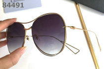 Dior Sunglasses AAA (1106)