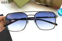 Burberry Sunglasses AAA (214)