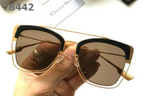 Dior Sunglasses AAA (550)