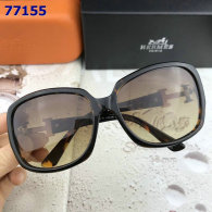 Hermes Sunglasses AAA (101)