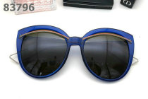 Dior Sunglasses AAA (1051)