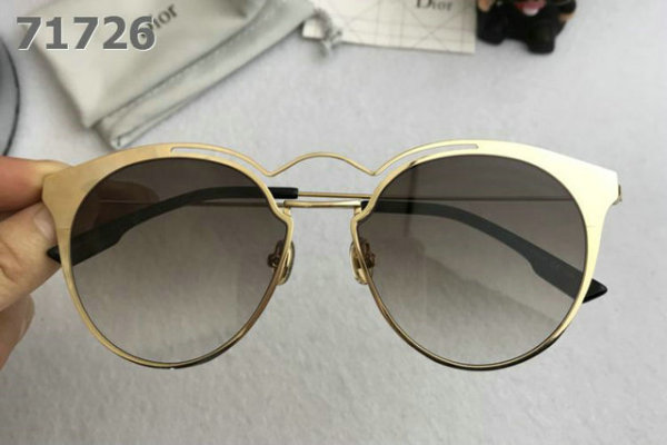 Dior Sunglasses AAA (1844)