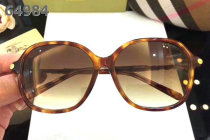 Burberry Sunglasses AAA (187)
