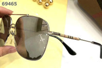 Burberry Sunglasses AAA (250)