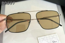 Dior Sunglasses AAA (878)