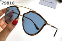 Dior Sunglasses AAA (751)