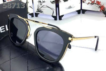 Celine Sunglasses AAA (55)