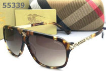 Burberry Sunglasses AAA (31)