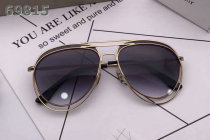 Dior Sunglasses AAA (1715)