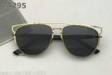 Dior Sunglasses AAA (229)