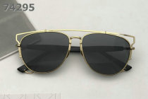 Dior Sunglasses AAA (229)