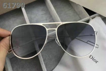 Dior Sunglasses AAA (1343)