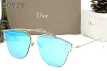 Dior Sunglasses AAA (1013)