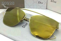 Dior Sunglasses AAA (1002)