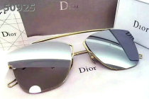 Dior Sunglasses AAA (969)