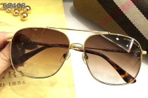 Burberry Sunglasses AAA (253)