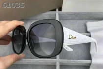 Dior Sunglasses AAA (1303)