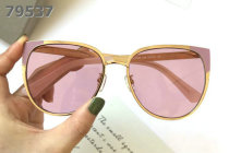 Dior Sunglasses AAA (742)