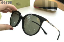Burberry Sunglasses AAA (201)