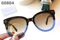 Celine Sunglasses AAA (88)