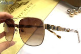 Burberry Sunglasses AAA (231)