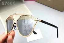 Dior Sunglasses AAA (1184)