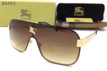 Burberry Sunglasses AAA (204)